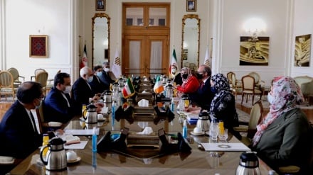 Menlu Iran dan Irlandia Bahas Nasib JCPOA di Tehran