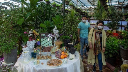 Nowruz Tiba, Pasar Bunga di Shiraz Ramai Pembeli (2)