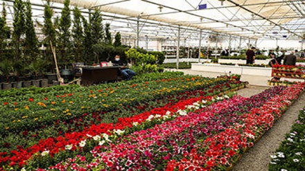 Marché aux fleurs et plantes de printemps 1400 à Ispahan