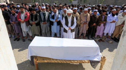 Daesh claims responsibility for killing 3 female media workers in Afghanistan