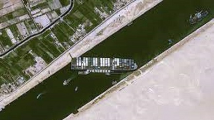 Canale di Suez, bomba a orologeria a rischio biologico per gli animali 