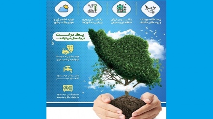 Фоидаҳои дарахту дарахткорӣ