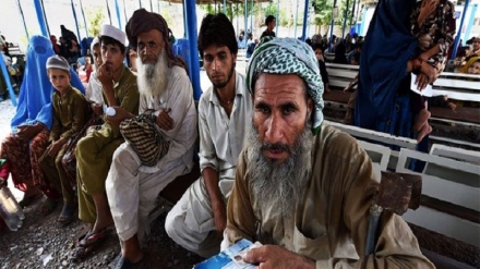 صدور کارت‌های هوشمند جدید برای مهاجرین افغانستان در پاکستان