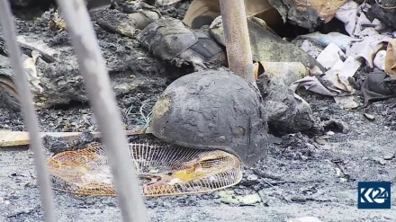 Pentagon: Seorang Tewas dalam Serangan ke Ain Al Assad