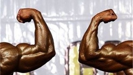 伊朗乌尔米耶举办世界健美俱乐部杯比赛