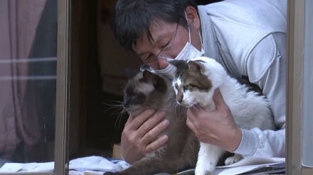 原発事故被災地で、捨てられたネコたちを育てる男性