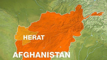  Hujuma ya kigaidi yaua watu 8 katika hujuma Herat, Afghanistan