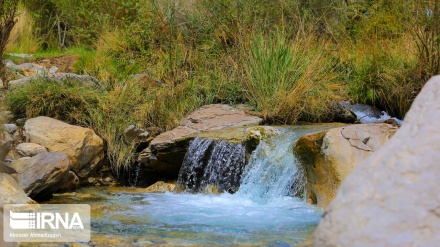 Iran : la nature printanière de Sekonj au sud-est