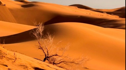 砂漠から農地まで、幅広いイランの土地