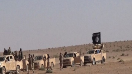 عناصر داعشی هفت عضو یک خانواده عراقی را کشتند