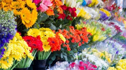 春の新年・ノウルーズ前のテヘランの花バザール