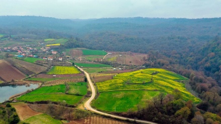 Le printemps est déjà arrivé dans le nord de l'Iran
