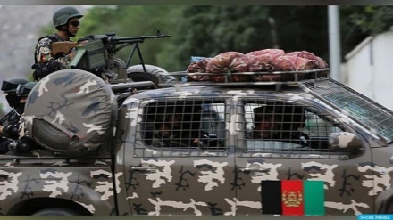 کشته شدن شماری از اعضای گروه تروریستی حقانی و طالبان در ولایت خوست 