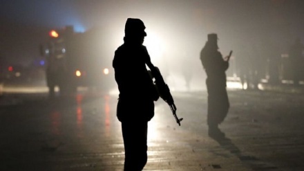 کشته شدن دو پولیس در مسیر کابل-میدان وردک 