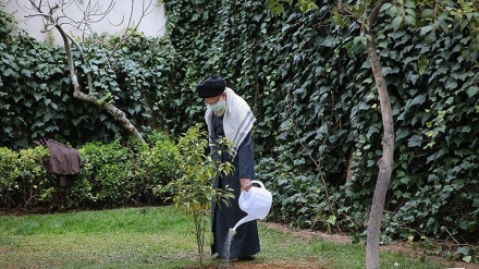 Rahbar: Pejabat dan Rakyat harus Cegah Kerusakan Lingkungan