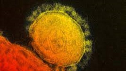 scoperti 5 fattori genetici legati alla forma grave