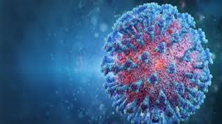 Arriva variante brasiliana in Italia