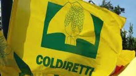 Blocco canale di Suez, ecco i danni per Italia