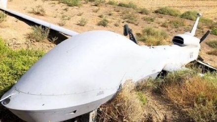 צבא לבנון ירה לעבר מל