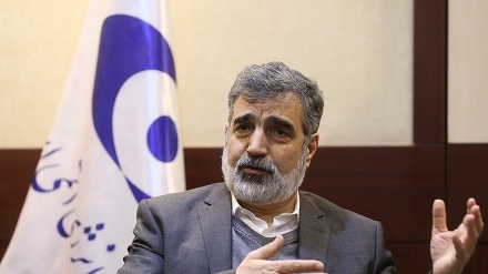 卡玛尔万迪：如果制裁不解除，我们不会向原子能机构提供任何信息