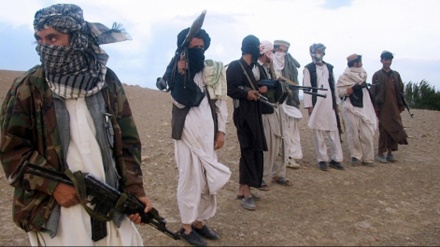 16名基地组织成员在阿富汗丧生