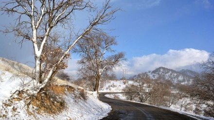 哈吉·卡马尔地区（8）