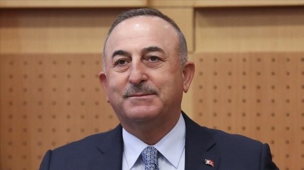 دیدار وزیرخارجه ترکیه با رئیس پارلمان تاجیکستان