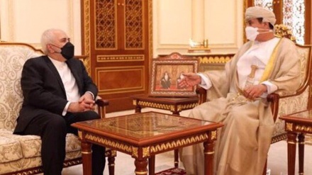 Iran, Oman discuss economic ties, regional issues in Muscat