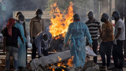 インド、コロナ感染・死亡者数の最多記録を更新