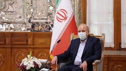 Speaker: Foreign military presence endangers Persian Gulf security