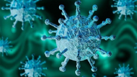 Covid, Svizzera: registrato il primo caso del 'virus indiano'