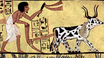 Iran, scoprire la storia dell'arte - 04