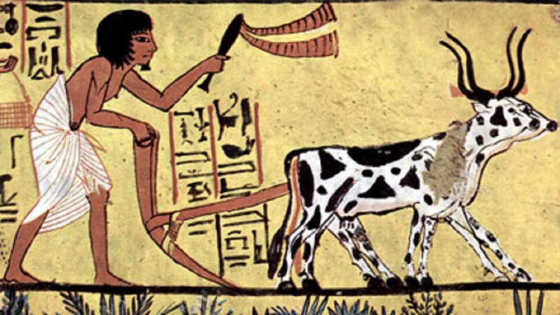Iran, scoprire la storia dell'arte - 04