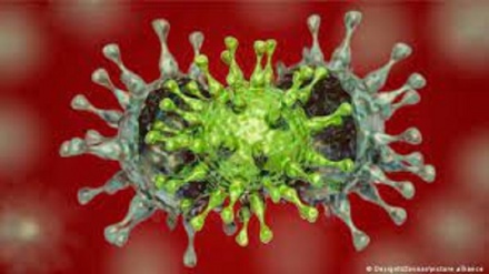 شناسایی نوع هندی ویروس جهش یافته کرونا در 17 کشور