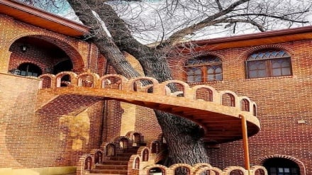 Iran da vedere: giardino Ferdows (museo del cinema) di Tehran + FOTO