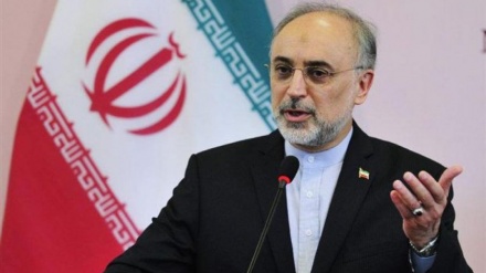 סאלחי: איראן בין המדינות המייצאות תרופות רדיואקטיביות בעולם