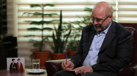 卡利巴夫：军队的牺牲成为勇士们的榜样