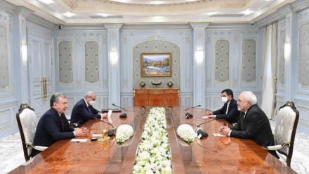 扎里夫与乌兹别克斯坦总统进行磋商