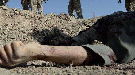 کشته شدن ولسوال تعیین شده طالبان برای ولسوالی ده بالای ولایت ننگرهار