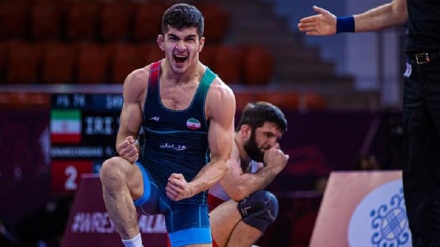 Asian C'ships: Iran Greco-Roman team wins 5 medals
