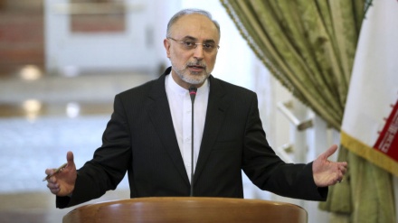 纳坦兹核设施事故表明阻碍伊朗工业和政治进步的伎俩未能得逞