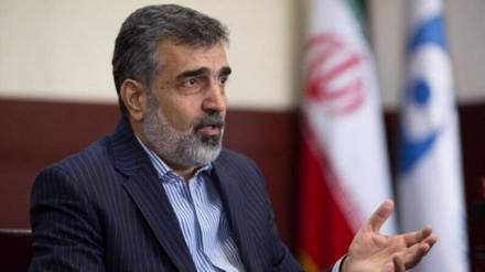  کمالوندی: اقدامات تروریستی دشمنان خللی در صنعت هسته ای ایران ایجاد نمی کند+ویدئو