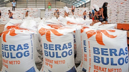 Peran Baru Bulog, Sang Penstabil Harga Pangan