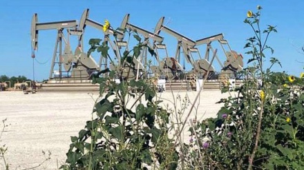 US fossil-fuel firms laid off 1000s after receiving billions in tax benefits