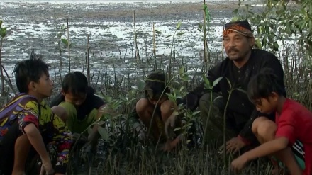 Begini Perjuangan Samsudin Lestarikan Hutan Mangrove