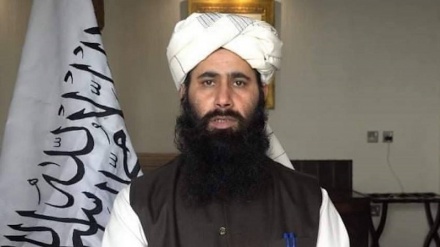 انتقاد طالبان از اظهارات نخست وزیر پاکستان در مورد افغانستان 