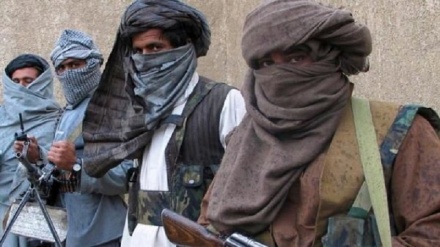 کشته شدن 47عضو گروه طالبان در ولایت قندهار