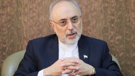 International community, IAEA must address ‘nuclear terrorism’ against Iran: Salehi