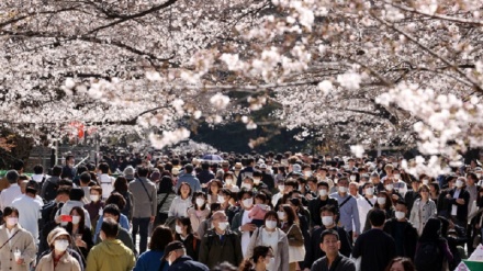 日本のコロナ感染、2日連続で3000人超　大阪府と奈良県は過去最多