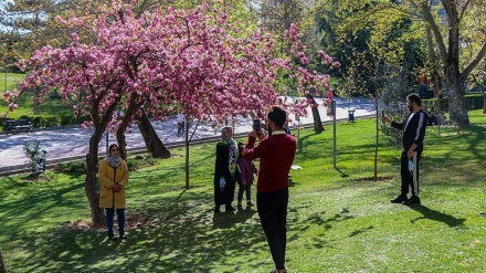 Musim Semi Tiba, Bunga di Taman-Taman Iran Mekar (2)